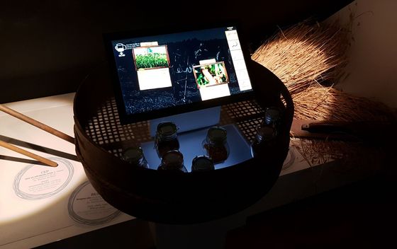 Mlinarski grunt u Žabniku - 18