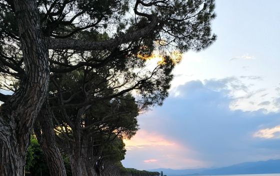 Bologna, Lago di Garda - 1