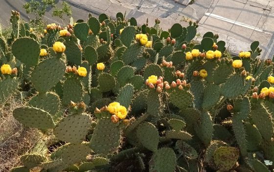 Planinarski dom Miroslav Hirtz - 22