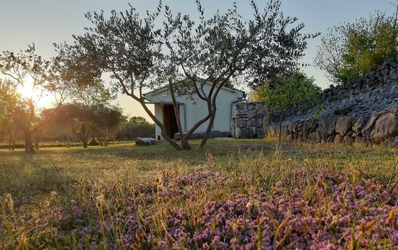 Robinzonska kuća Tubile na Krku, Airbnb - 7