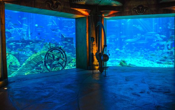 Aquaventure World, najveći vodeni park Dubai - 4
