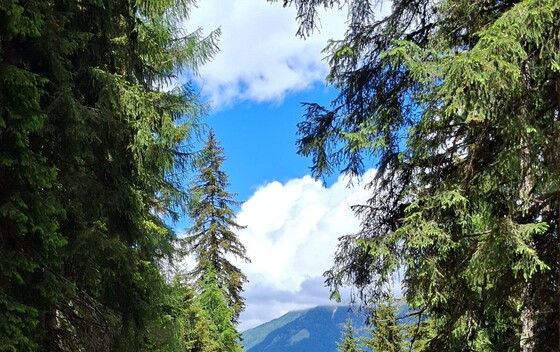 Highlander Italija - 1