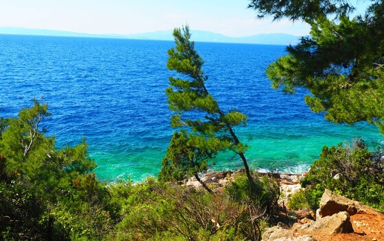 Mljet - 14