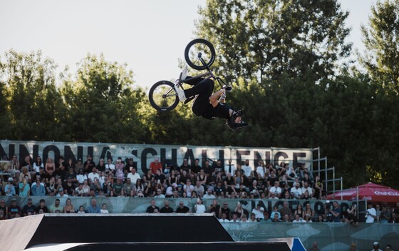 Pannonian Challenge - 3