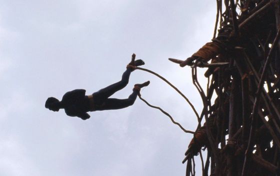 Bungee