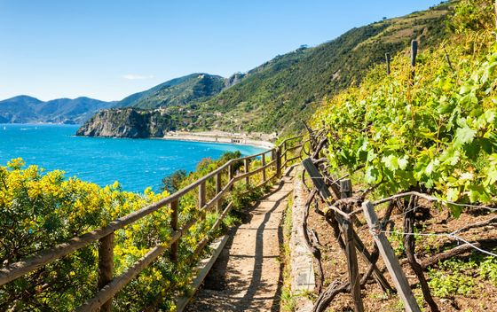 Cinque Terre, Italija - 1
