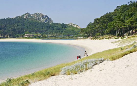 Cies