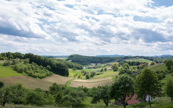 Weingarten-Resort - 4