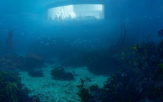 Podvodni restoran Under, Norveška - 2