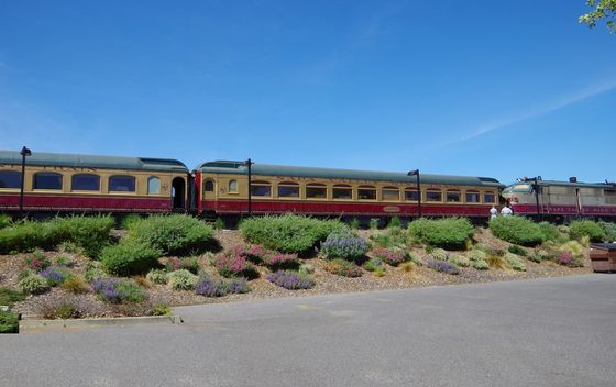 Napa - 2