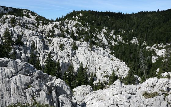 Sjeverni Velebit