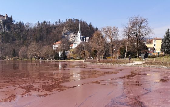 Čišćenje jezera