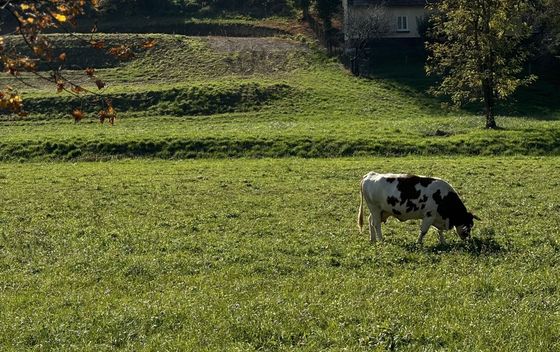 Vinska cesta Međimurja - 21