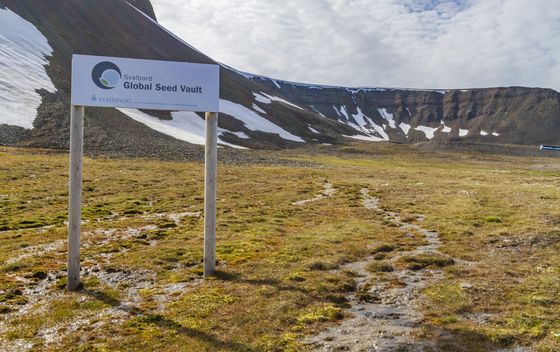 Svalbard - 2