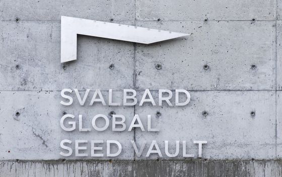 Svalbard - 3