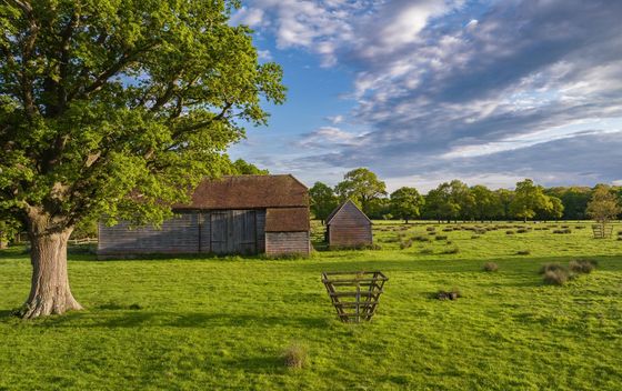 Kviz općeg znanja - 11