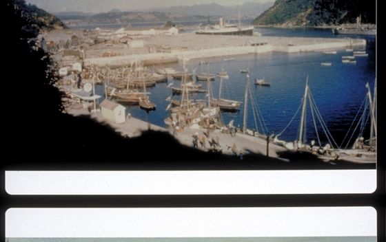Veliki potres u Čileu 1960. - 1