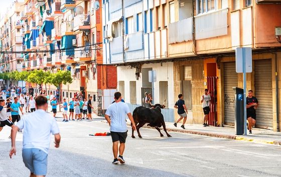 Pamplona - 4