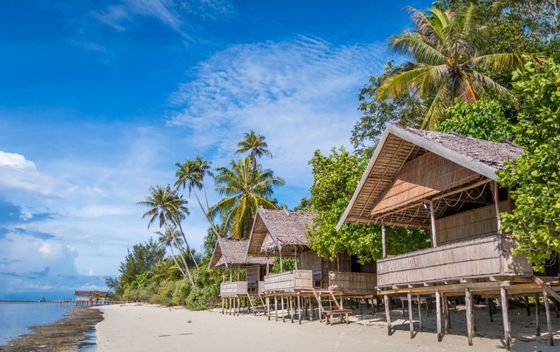 Raja Ampat - 21