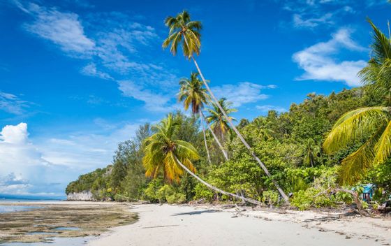 Raja Ampat - 23