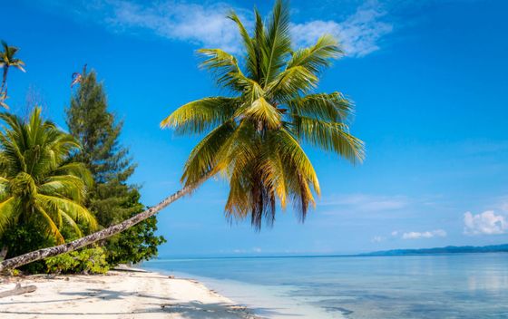 Raja Ampat - 39