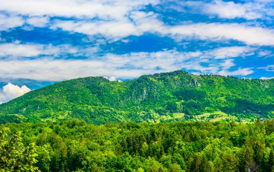 Izleti u prirodu - 5