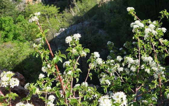 Na motorima do Grčke - 4