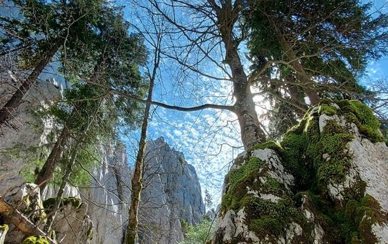 Dunja u pohodu na Samarske stijene - 4