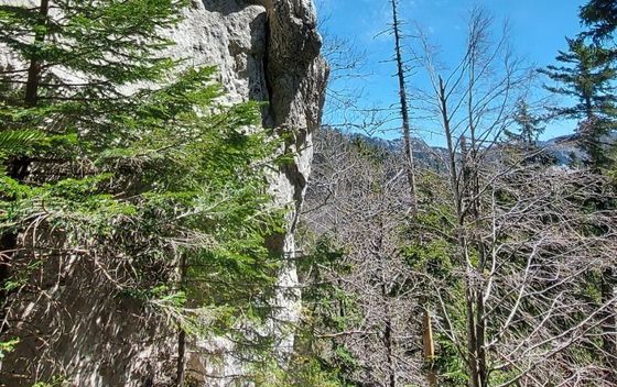 Dunja u pohodu na Samarske stijene - 14