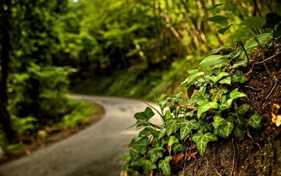 Dolina Slapnice, Žumberak - Samoborsko gorje - 2