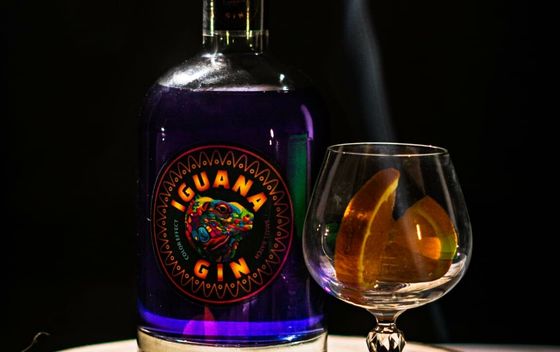 Iguana gin - 2