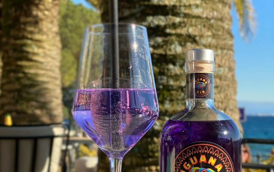 Iguana gin - 3