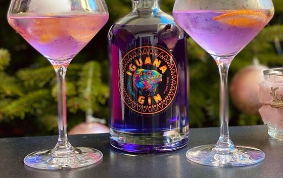 Iguana gin - 4