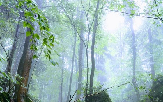 Highlander Medvednica - 7