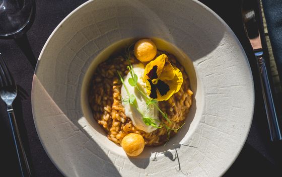 Teleći rižot sa sladoledom od paškog sira i fritulama od bjelanjaka i parmezana