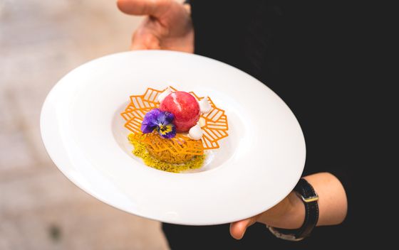 Desert Marine Prutki