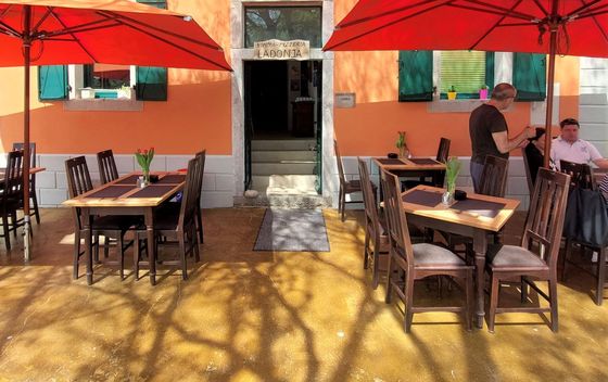 Ladonja Draguć - 17