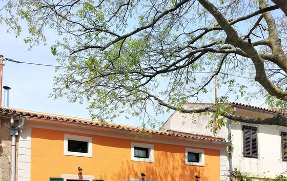 Ladonja Draguć - 22