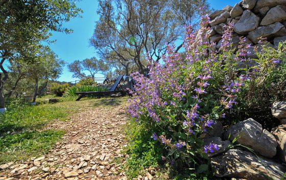 Miomirisni vrt Lošinj - 4