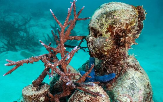 Ocean Sentinels - 5