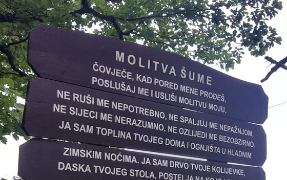 Molitva šume