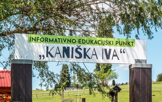 Kaniška Iva - 6
