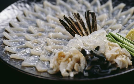 Najotrovnija riba na svijetu - 1