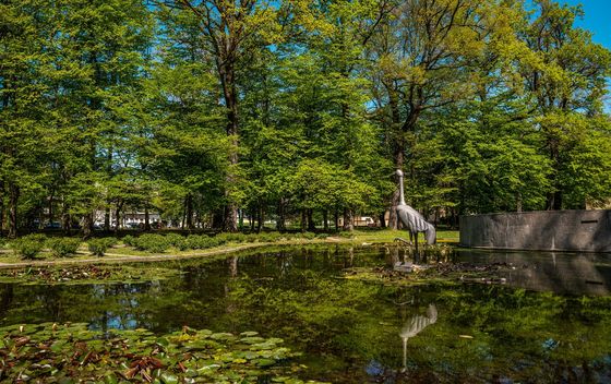 Bjelovarsko-bilogorska županija - 6