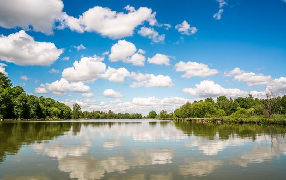 Bjelovarsko-bilogorska županija - 7