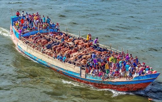 Brodom na stočnu tržnicu, Bangladeš - 1