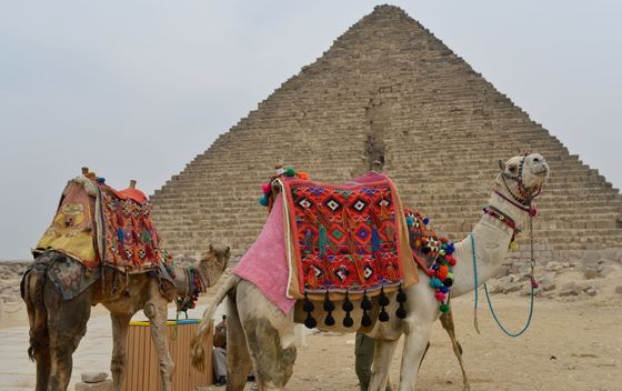 Edo Toplak: Osam svjetskih čuda - 12