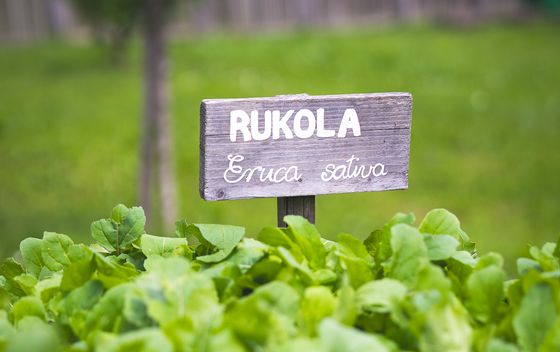 Hotel Grad Otočec poznat je po svojim izvanrednim salatama iz Grajskog vrta
