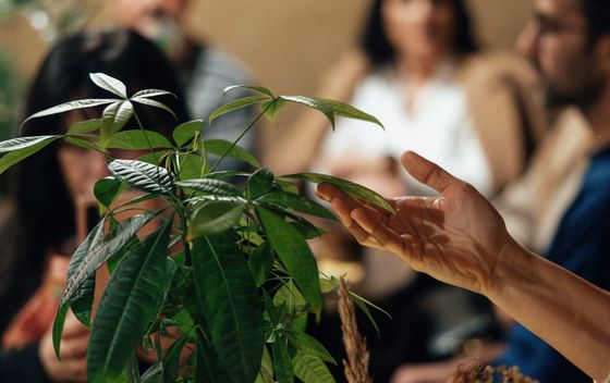 Posebna večera u suradnji Biomanije i umjetnice Aklee Neon - 2