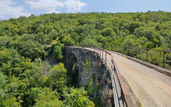 Kviz općeg znanja - 15